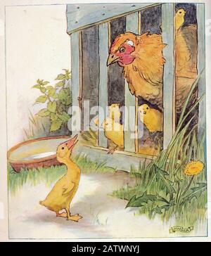 The Daring Duckie Book 1915 - Illustrazione Di Anne Anderson (1874 - 1930) Foto Stock