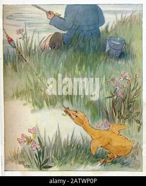 The Daring Duckie Book 1915 - Illustrazione Di Anne Anderson (1874 - 1930) Foto Stock