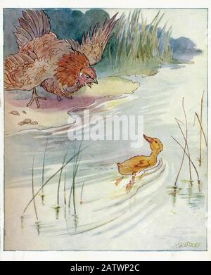 The Daring Duckie Book 1915 - Illustrazione Di Anne Anderson (1874 - 1930) Foto Stock