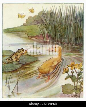 The Daring Duckie Book 1915 - Illustrazione Di Anne Anderson (1874 - 1930) Foto Stock