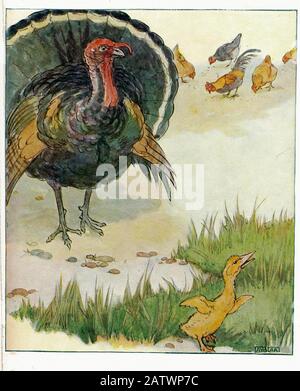 The Daring Duckie Book 1915 - Illustrazione Di Anne Anderson (1874 - 1930) Foto Stock