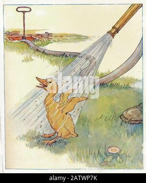 The Daring Duckie Book 1915 - Illustrazione Di Anne Anderson (1874 - 1930) Foto Stock