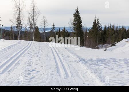 Piste da sci di fondo in Norvegia Foto Stock