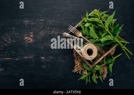 Ortiche fresche Su sfondo di legno nero. Vista dall'alto. Spazio di copia. Foto Stock