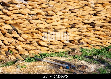 Pali di legno tagliati a mano con estremità appuntite, usati per scherma, con due assi di taglio del legno che si posano sul terreno. Foto Stock