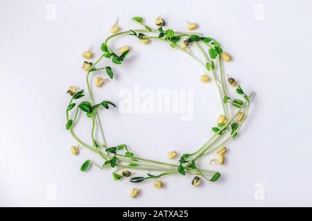 Neve fresca pisello e mung germogli su sfondo bianco su un cerchio. Vista dall'alto. Dieta sana superfood e concetto di cibo verde micro. Spazio libero di fronte Foto Stock