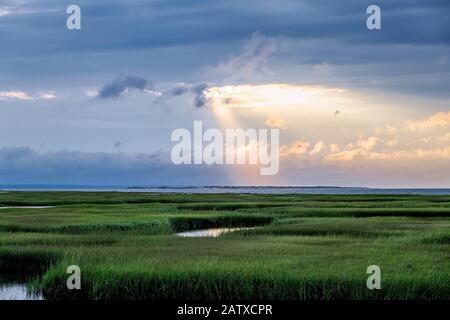 Grays Beach sale paludi paludi Foto Stock