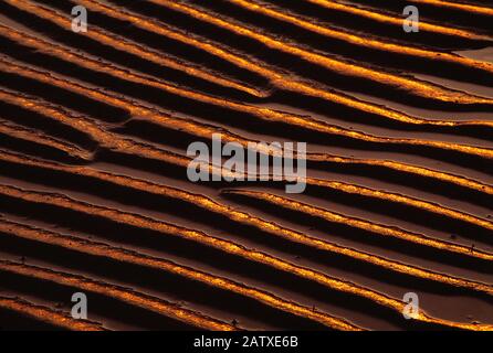 Vicino alla spiaggia di sabbia increspata dalla marea. Foto Stock