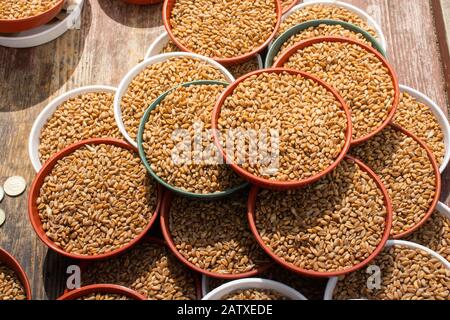 Grani di grano interi in ciotola per la vendita per spargimento fuori per alimentare l'uccello Foto Stock