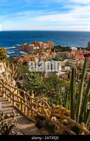 Monaco-Ville, Monaco - 28 gennaio 2020: Paesaggio urbano di Monaco, porto di Fontvielle e la costa mediterranea incorniciata da lussureggianti piante esotiche. Foto Stock