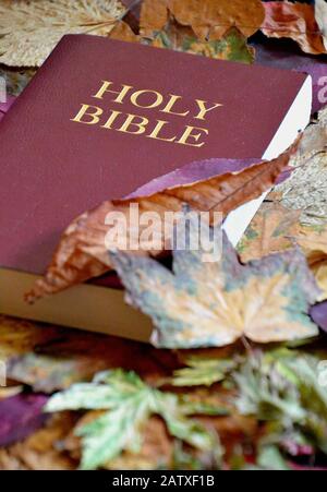 bibbia chiusa con copertina e lettere dorate su di essa tra foglie colorate d'autunno fogliame Foto Stock