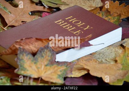 bibbia chiusa con copertina e lettere dorate su di essa tra foglie colorate d'autunno fogliame Foto Stock