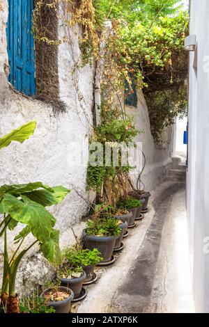 Vecchia strada stretta a Anafiotika, quartiere Plaka, Atene, Grecia. Plaka è una delle principali attrazioni turistiche di Atene. Piccolo vicolo tra il bianco hous Foto Stock