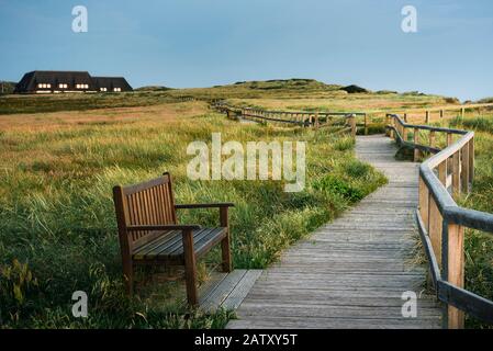 Passerella in legno attraverso le dune erbose con l'erba di montone sull'isola di Sylt, al Mare del Nord, in Germania. Scenario serale in natura protetta. Campagna della Frisia. Foto Stock