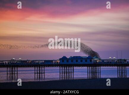 Brighton UK 5th Febbraio 2020 - gli Starlings creano forme spettacolari sul Brighton Palace Pier questa sera alla loro murmaturazione quotidiana al tramonto . Più bel tempo stabilito è previsto per la prossima coppia di giorni in Gran Bretagna prima che il tempo tempestoso è impostato per arrivare al fine settimana . Credito: Simon Dack / Alamy Live News Foto Stock