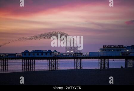 Brighton UK 5th Febbraio 2020 - gli Starlings creano forme spettacolari sul Brighton Palace Pier questa sera alla loro murmaturazione quotidiana al tramonto . Più bel tempo stabilito è previsto per la prossima coppia di giorni in Gran Bretagna prima che il tempo tempestoso è impostato per arrivare al fine settimana . Credito: Simon Dack / Alamy Live News Foto Stock