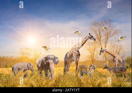 Grande gruppo di African Safari animali. Conservazione della fauna selvatica concept Foto Stock