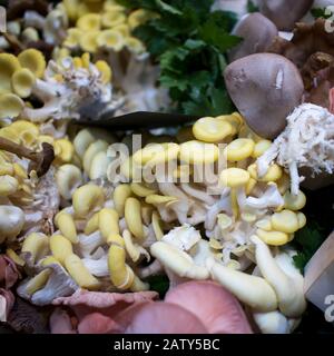 Diversi tipi di funghi in vendita al banco di Borough Market Foto Stock