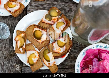 Vista ravvicinata del tradizionale pasto di cosacchi servito con mele soused e sandwiches di lardo Foto Stock