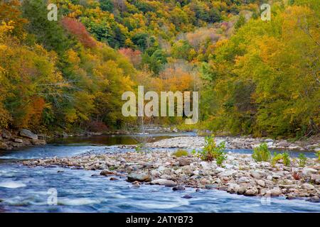 Loyalsock Creek è un affluente lungo 64 miglia del fiume Susquehanna, una delle principali attrazioni naturali del World's End state Par Foto Stock