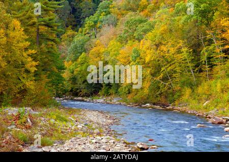 Loyalsock Creek è un affluente lungo 64 miglia del fiume Susquehanna, una delle principali attrazioni naturali del World's End state Par Foto Stock