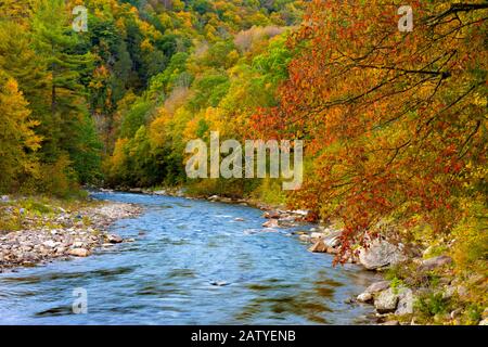 Loyalsock Creek è un affluente lungo 64 miglia del fiume Susquehanna, una delle principali attrazioni naturali del World's End state Par Foto Stock