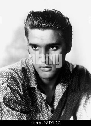 1956 : ELVIS PRESLEY ( 1935 -1977) nel suo primo film, LOVE ME TENDER ( FRATELLI RIVALI ) , publicity Still - ROCK N' ROLL - Western ---- Archivio Foto Stock