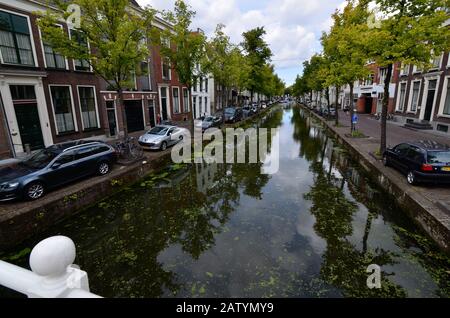 Delft, paesi bassi, agosto 2019. I graziosi e romantici canali, più piccoli di Amsterdam. Le piante acquatiche creano un tappeto verde, i ponti Foto Stock