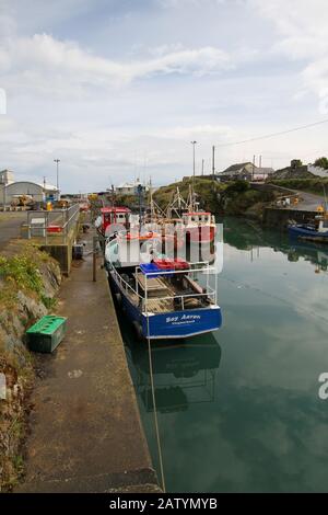 Barche da pesca in Irlanda ormeggiate lungo la banchina del porto interno su un promontorio roccioso a Port Oriel vicino Clogherhead, County Louth, Irlanda. Foto Stock