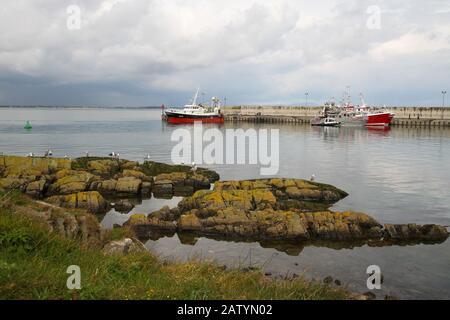 Gabbiani seduti lungo le rocce durante una tranquilla giornata e il tempo nel porto di pescatori a Port Oriel sulla costa orientale dell'Irlanda nella contea di Louth. Foto Stock