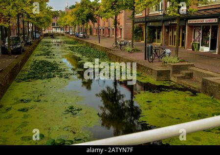 Delft, paesi bassi, agosto 2019. I graziosi e romantici canali, più piccoli di Amsterdam. Le piante acquatiche creano un tappeto verde. Foto Stock
