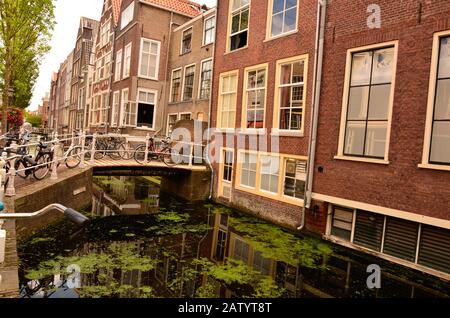 Delft, paesi bassi, agosto 2019. I graziosi e romantici canali, più piccoli di Amsterdam. Le piante acquatiche creano un tappeto verde. Foto Stock