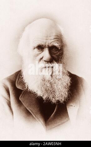Il naturalista inglese CHARLES Robert DARWIN ( 1809 - 1882 ) - NATURALISTA - SCIENZIATO - SCIENZIATO - EVOLUZIONISMO - EVOLUTISMO - Teoria Evoluzi Foto Stock