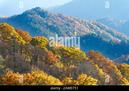 Colori autunnali stratificati sul Great Smoky Mountains National Park. Foto Stock