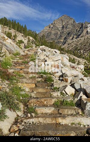 Scalate in pietra su un sentiero che conduce a Pine Creek verso le montagne della Sierra Nevada Foto Stock