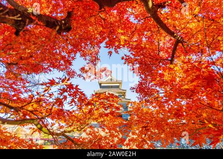 Bella Autunno Del Castello Di Matsumo, Nagano, Giappone Foto Stock