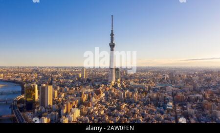 Panorama Vista Alba Di Tokyo City Skyline, Giappone Foto Stock