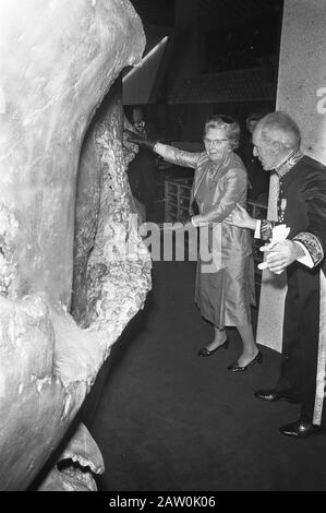 Queen Juliana apre la nuova provincia di Noord-Brabant a Den Bosch Queen Juliana tacchina una porta spessa Data: 12 novembre 1971 Località: Den Bosch, Noord-Brabant Parole Chiave: Queens aperture, case di contea Nome Persona: Juliana, regina Foto Stock