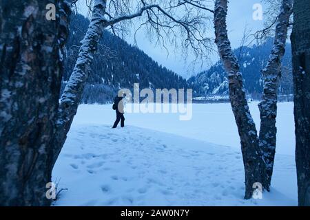 L'uomo cammina nel lago ghiacciato vicino alla foresta in inverno in montagna. Foto Stock