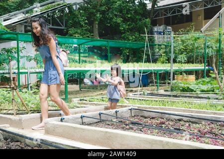 Madre e figlia impegnata nel giardinaggio insieme Foto Stock