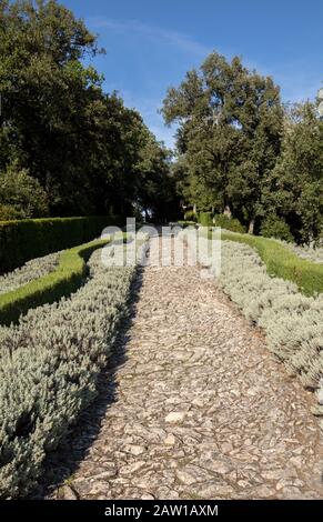 I giardini del Jardins de Marqueyssac in Dordogne regione della Francia Foto Stock