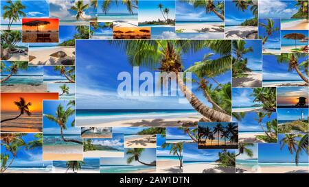 Collage di concetto di viaggio tropicale sulla spiaggia Foto Stock