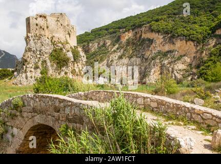 Costruito nel 17th secolo per proteggere il percorso da Tripoli a Beirut, il Forte di Mseilha è una splendida fortificazione costruita su una roccia calcarea Foto Stock