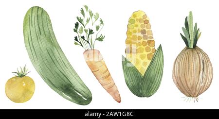 Set di verdure a acquerello, pomodoro, ciliegia, giallo, verde, piselli, cetrioli, prezzemolo Foto Stock
