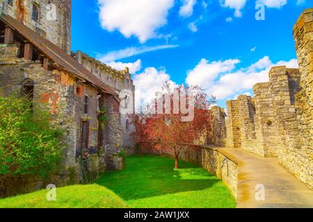 Gand, Belgio, cortile interno di Gravensteen o Castello dei conti, alberi di primavera contro cielo blu nuvoloso Foto Stock