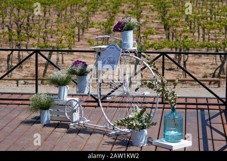 Mendoza, ARGENTINA, 19 ottobre 2019. Giardino, oggetti da festa, Mendoza City, MENDOZA. Foto: Axel Lloret Www.allofotografia.com Foto Stock