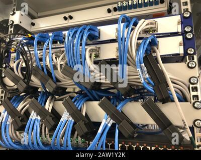 cavi di rete collegati al server del data center. Foto Stock