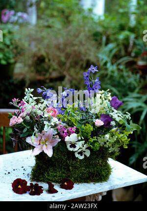 STILL-vita di gigli rosa con delfinio blu e pansies bianco in una piantatrice coperta muschio Foto Stock