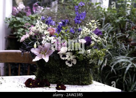 STILL-vita di gigli rosa con delfinio blu e pansies bianco in una piantatrice coperta muschio Foto Stock