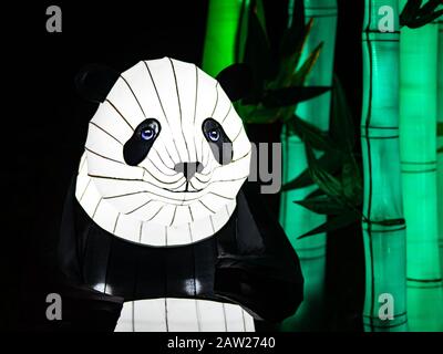 Orso Panda Lanterna Cinese Con Bambù Verde Sul Lato Foto Stock